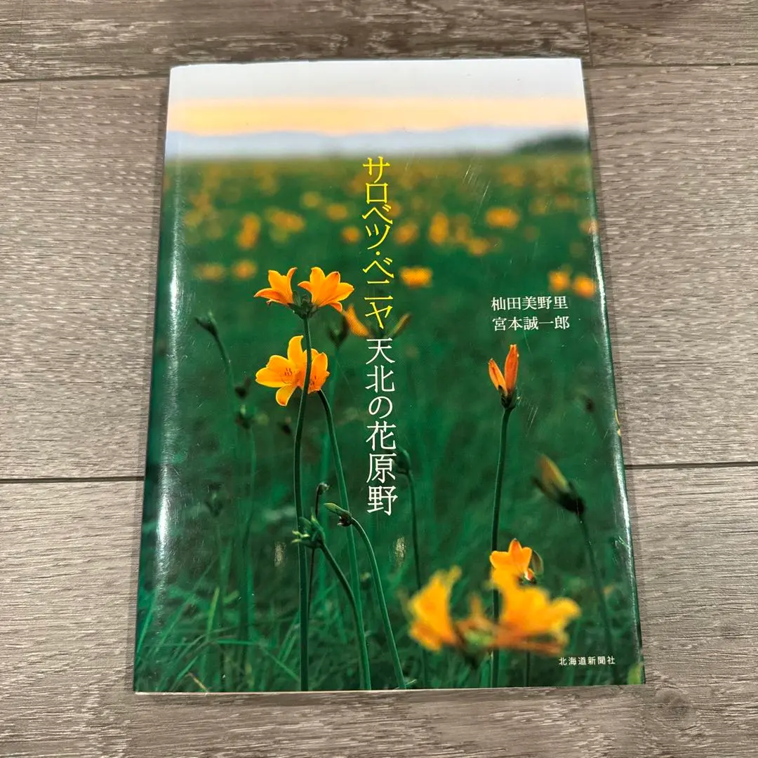 中根寛、【サロベツ原野より利尻礼文を望む】、希少な大判額装用画集より 中根寛、『サロベツ原野より利尻礼文を望む』、希少画集画