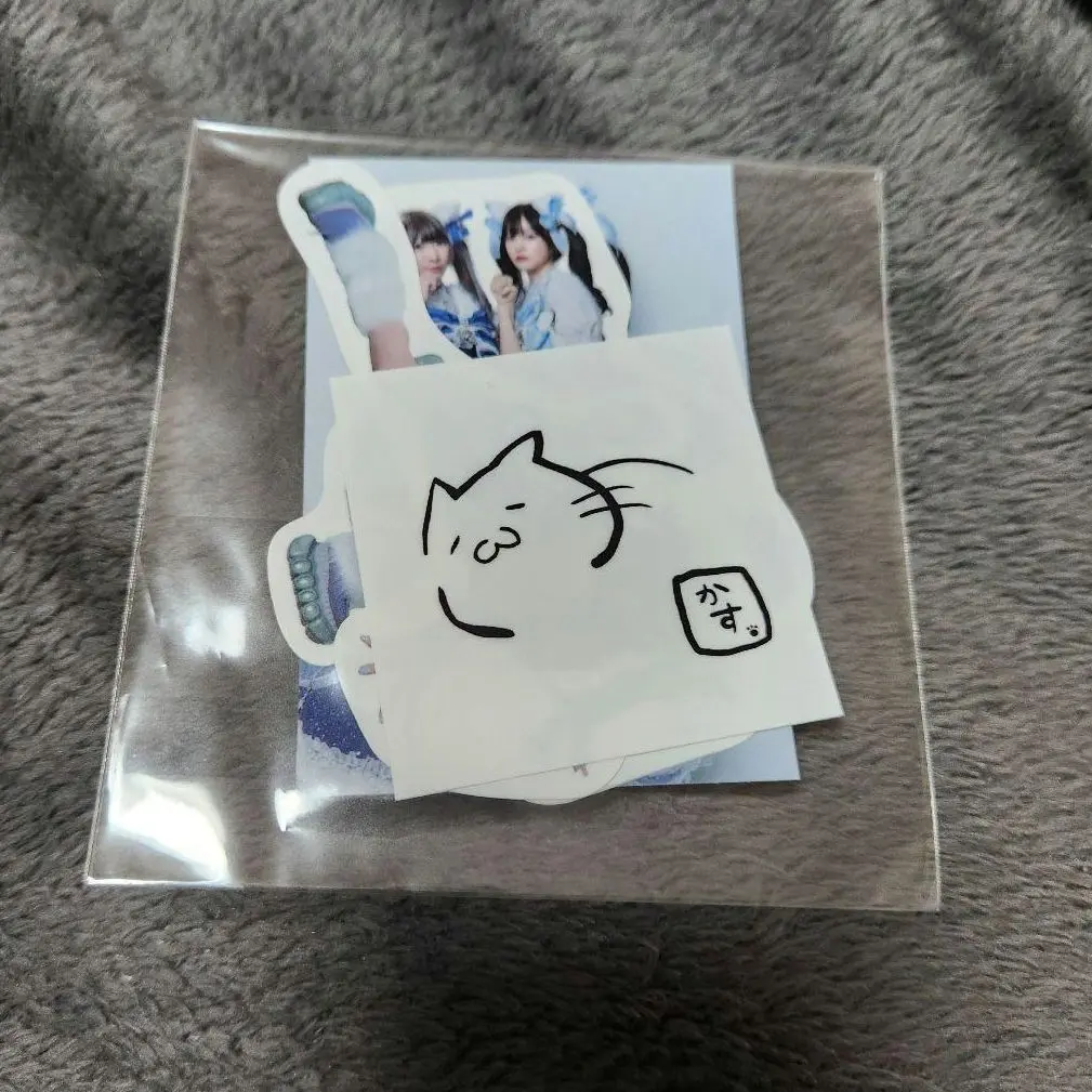 かすたそ　パにゃイグッズセット かすたそのパーティーにゃイト｜公式ストア