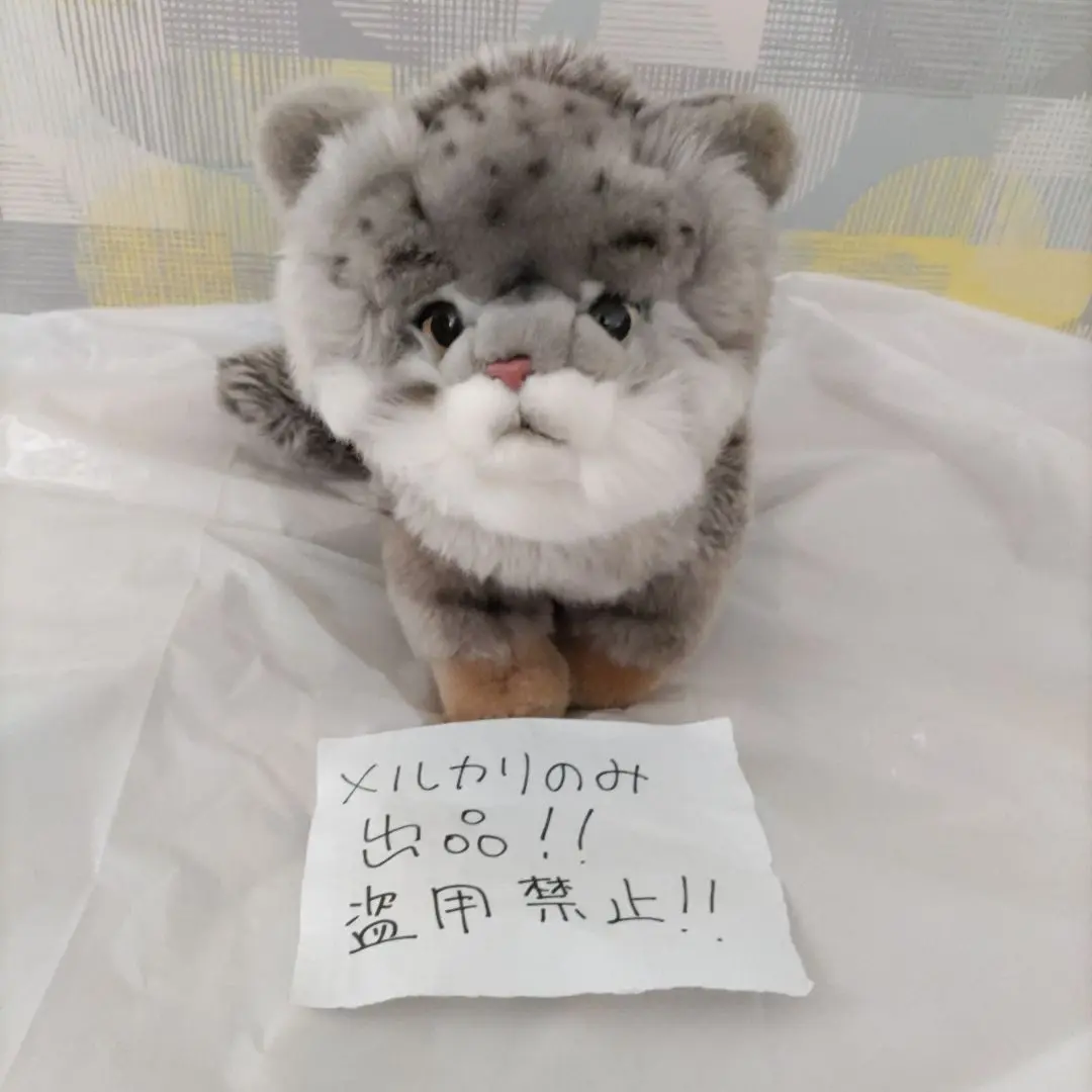 金曜まで赤字特価　日本製　アビシニアン　猫　ぬいぐるみ　メルカリのみ出品 赤字特価 日本製 アビシニアン 猫 ぬいぐるみ メルカリのみ出品