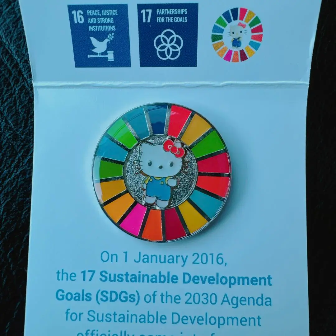 SDGs ピンバッジ　ハローキティ　新品未使用　台紙付き m52582043722_1.jpg?1737364011