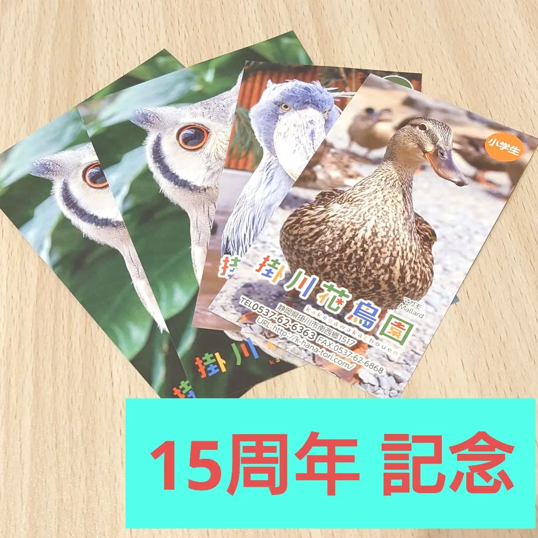 2025年最新】掛川花鳥園 コレクションの人気アイテム - メルカリ