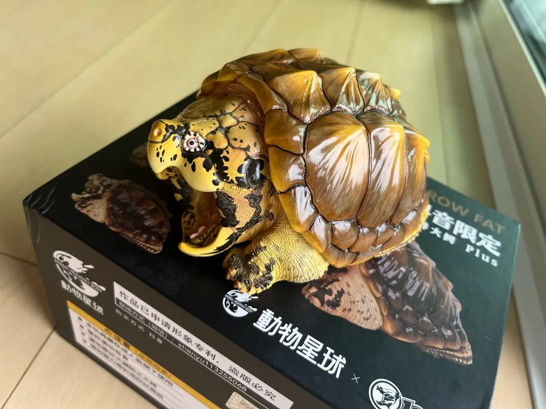 動物星球シリーズ 亀フィギュア　ワニガメ Amazon | BACALYSO | 動物惑星 ワニガメ カメ 亀 15CM級 カメ目