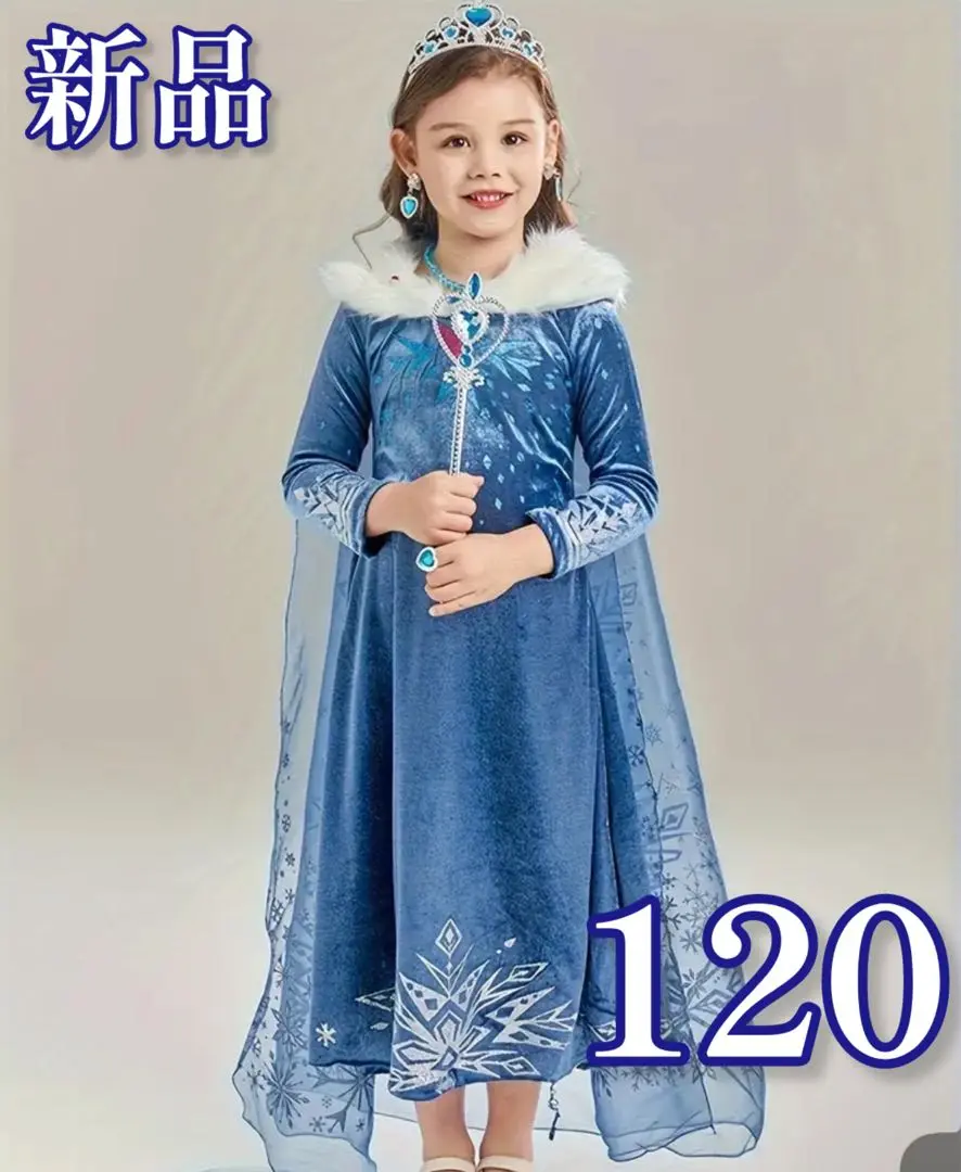 2025年最新】エルサ ドレスセット ＝アナと雪の女王 家族の