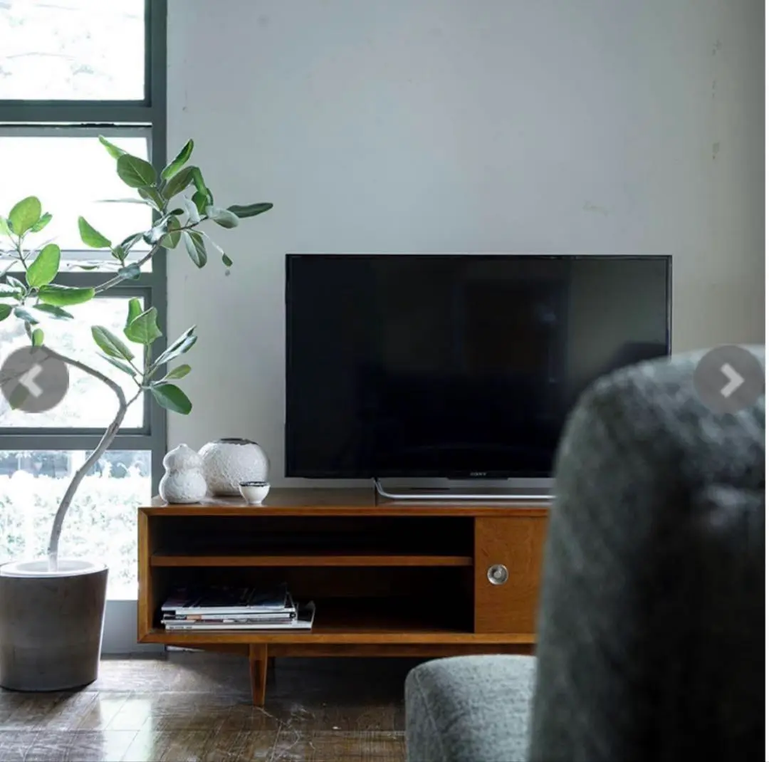 2025年最新】パシフィックファニチャー テレビの人気アイテム