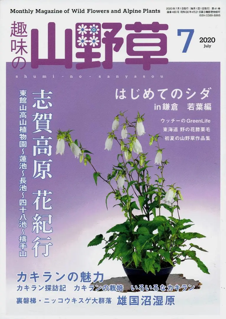 2025年最新】草風 掛軸の人気アイテム - メルカリ