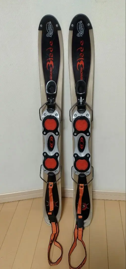 ショートファンスキー　サロモン SALOMON SBOARD99 ケース付　解放 2025年最新】ショートスキーサロモンの人気アイテム - メルカリ