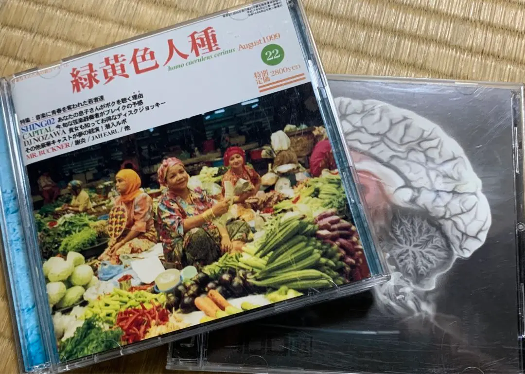 緑黄色人種 LP SHING02 DJ NOZAWA 希少レコード 緑黄色人種 LP SHING02 DJ NOZAWA 希少レコード - メルカリ