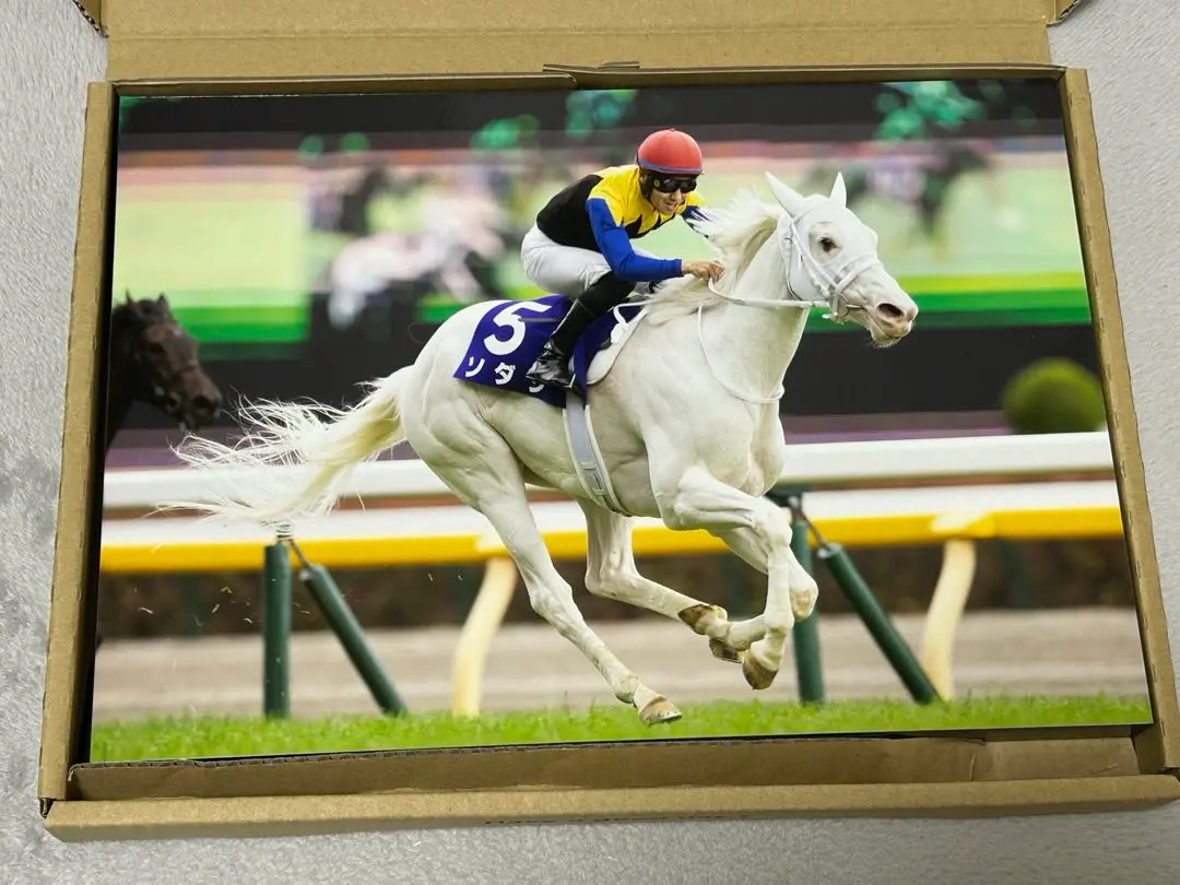 2025年最新】ウォールデコ 競馬の人気アイテム - メルカリ