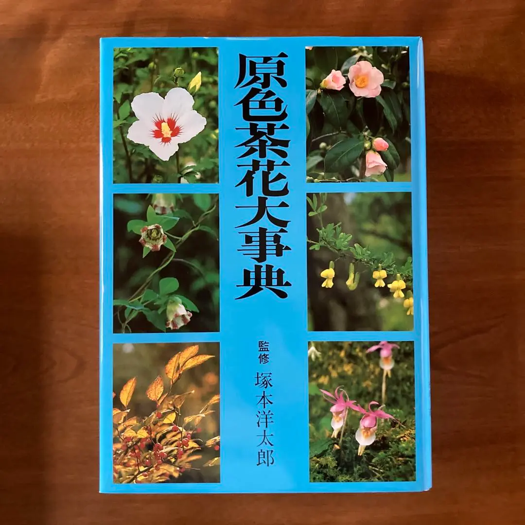 B 163              茶花大辞典     淡交社・7～12月 B 163 茶花大辞典 淡交社・7～12月 - メルカリ