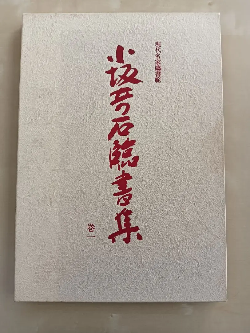 日中代表書法家展 1988年版 全日本書道連盟 小坂奇石 桑田笹舟 村上