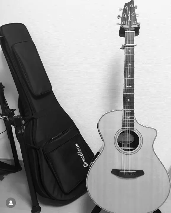 Breedlove C25/SRH solo Fishman 動作確認済み