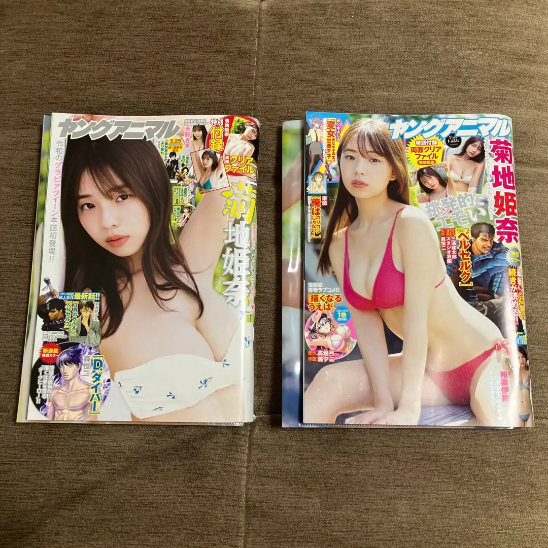 Thumbnail of Hina Kikuchi Cover: Young Animal 2023, No. 11 & No. 19, 2-book set