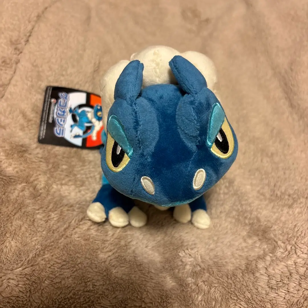 ゲコガシラ ぬいぐるみ ポケモンセンター 61-lu81P0XL._UF894,1000_QL80_.jpg