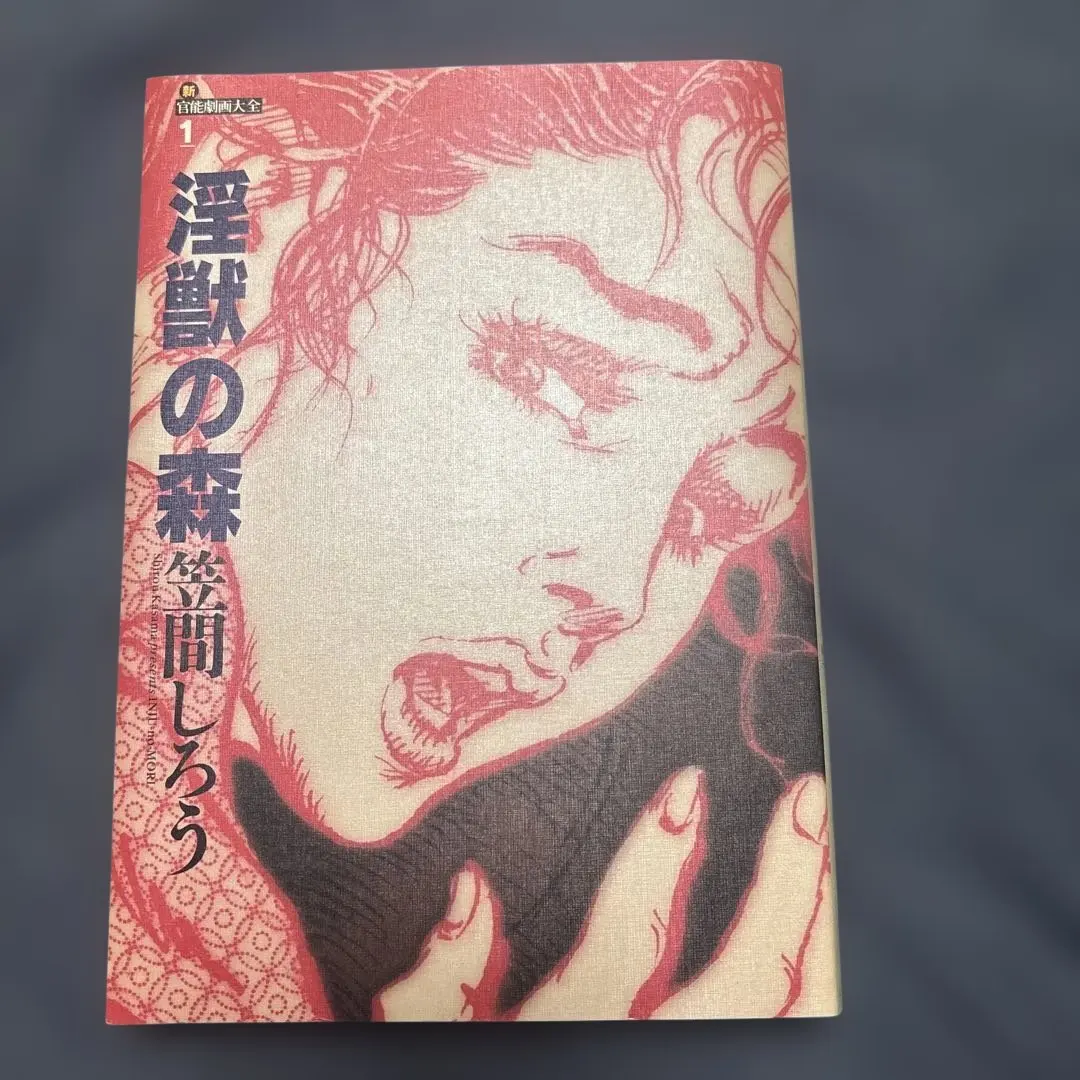 笠間しろう　自選原画集　艶夢　shiro kasama 自選原画集 艶夢 笠間しろう 自選原画集 艶夢 shiro kasama