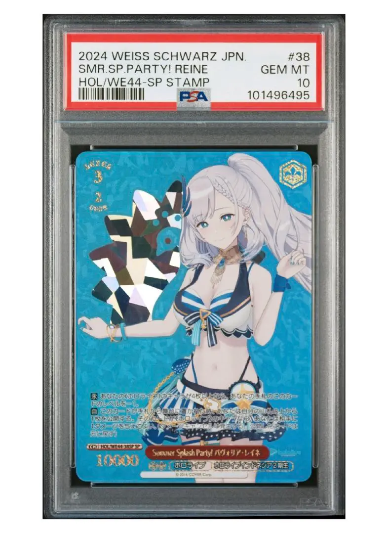 2025年最新】パヴォリア・レイネ Summer SPの人気アイテム