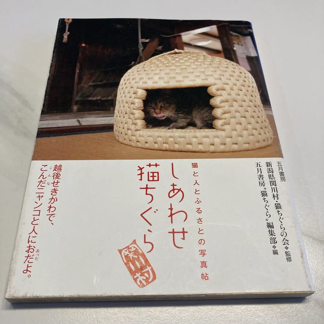 2025年最新】猫ちぐら 関川の人気アイテム - メルカリ