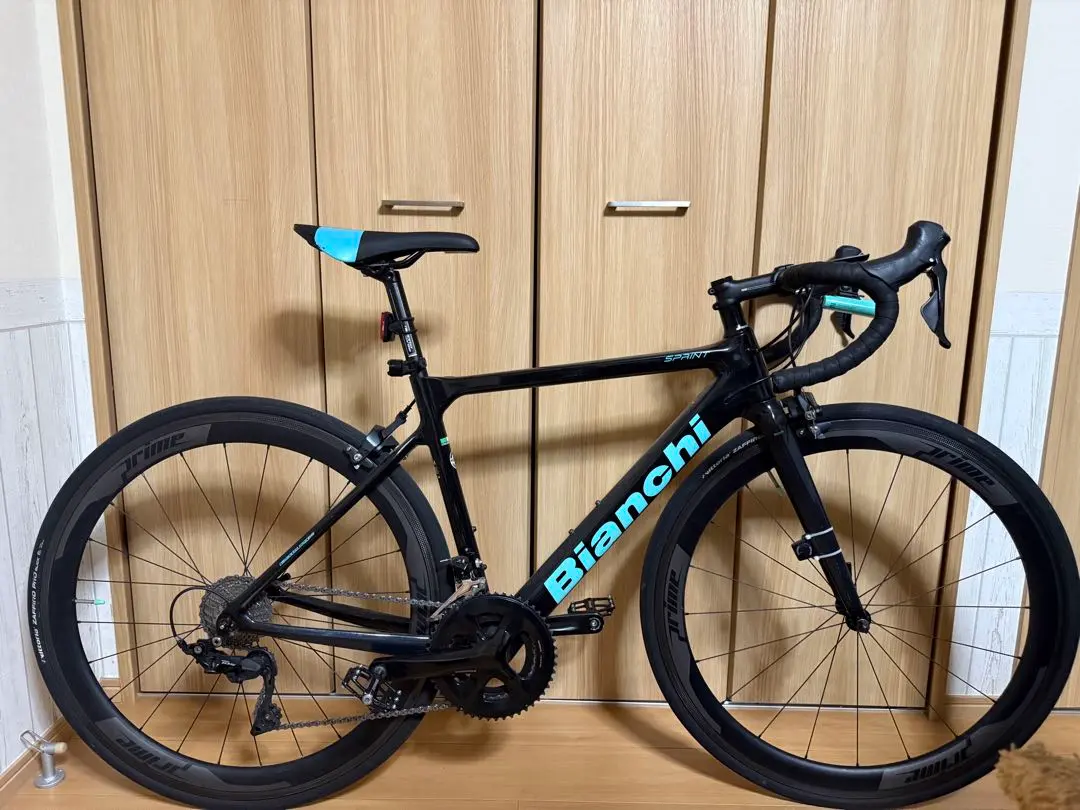 2025年最新】Bianchi スプリントの人気アイテム - メルカリ