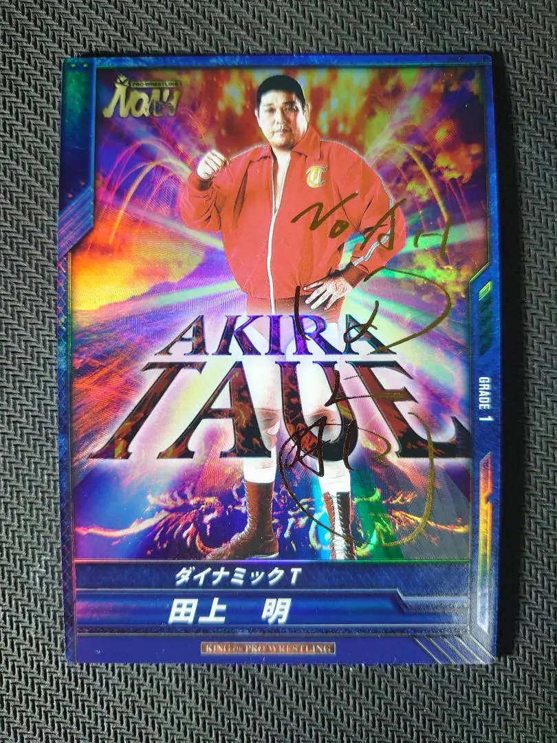 2025年最新】キングオブプロレスリング SPの人気アイテム