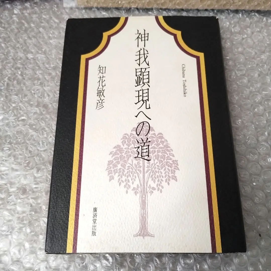 神我顕現への道 神我顕現への道 | 知花 敏彦 |本 | 通販 | Amazon