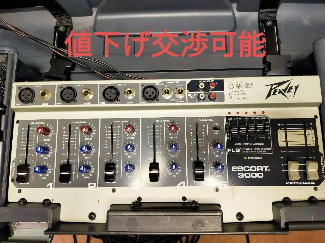 Peavey Escort 3000 ポータブルPAシステム ピーヴィ説明必読