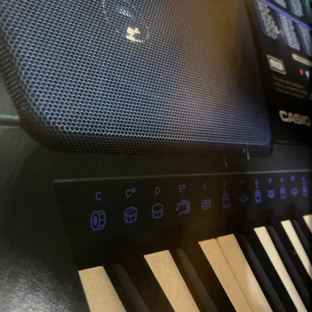 CASIO CTK 501 (sound and styles demonstration) HiQ sound