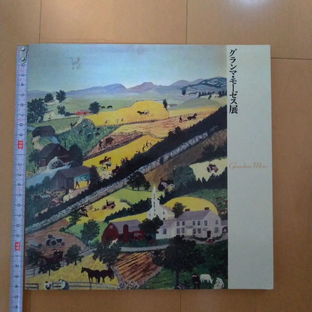 グランマ・モーゼス、『ケンブリッジ渓谷』、希少画集画、状態良好 2025年最新】グランマモーゼス展の人気アイテム - メルカリ