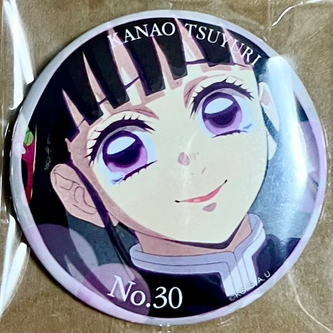 鬼滅之刃 隊士百景 竈門炭治郎 感動徽章 No.30 正面微笑 的縮圖