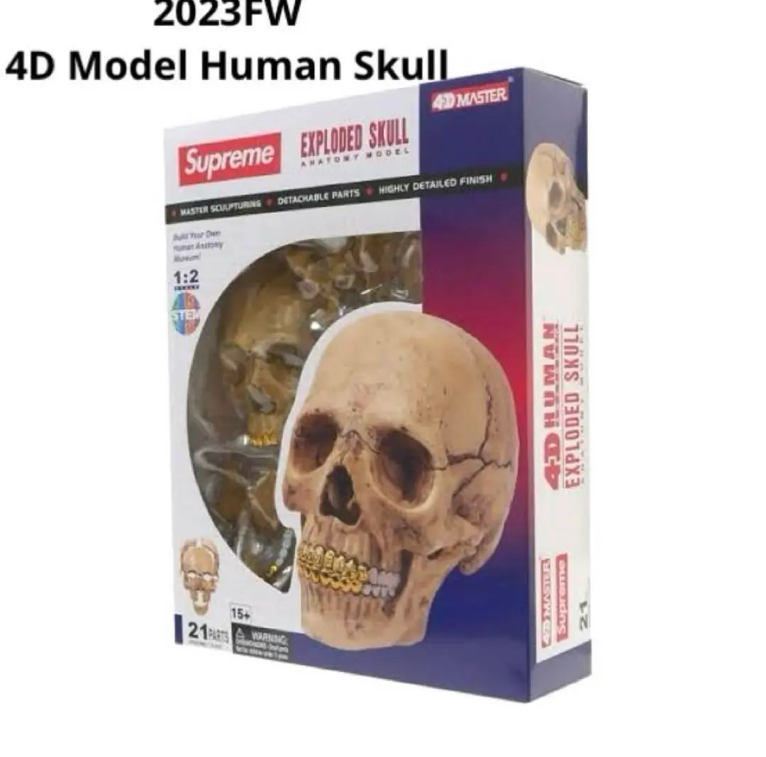 2025年最新】Supreme 4D Model Human Skullの人気アイテム