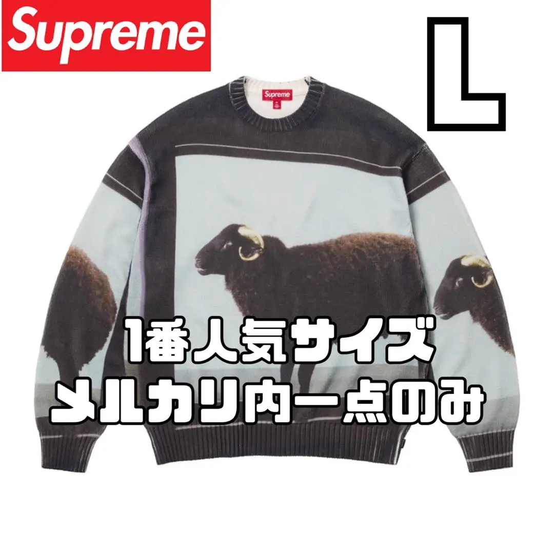 supreme ダミアンハーストニット Supreme シュプリーム 25SS Damien Hirst Sweater ダミアン