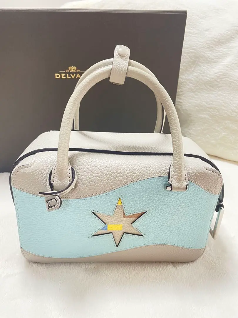 2025年最新】DELVAUX クールボックス ミニの人気アイテム - メルカリ