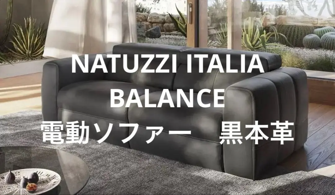 2025年最新】natuzzi ソファの人気アイテム - メルカリ