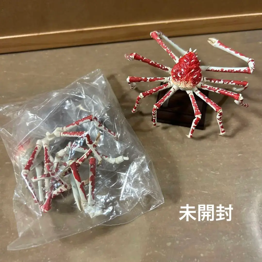 2025年最新】ネイチャーテクニカラー 海遊館の人気アイテム