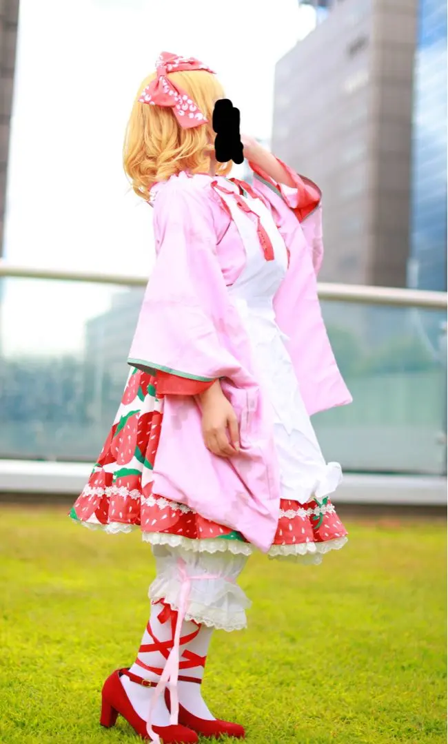 薔薇乙女 ローゼンメイデン 雛苺 コスプレ衣装 大正浪漫 Amazon.co.jp: 【GK】 ローゼンメイデン 雛苺（ひないちご） 15