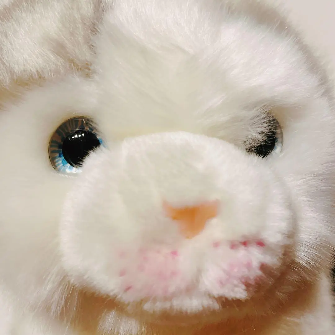ブリティッシュショートヘア 青い猫のぬいぐるみ - リアルで生き生きとした 新品 Amazon.co.jp: ブリティッシュショートヘア 青い猫のぬいぐるみ