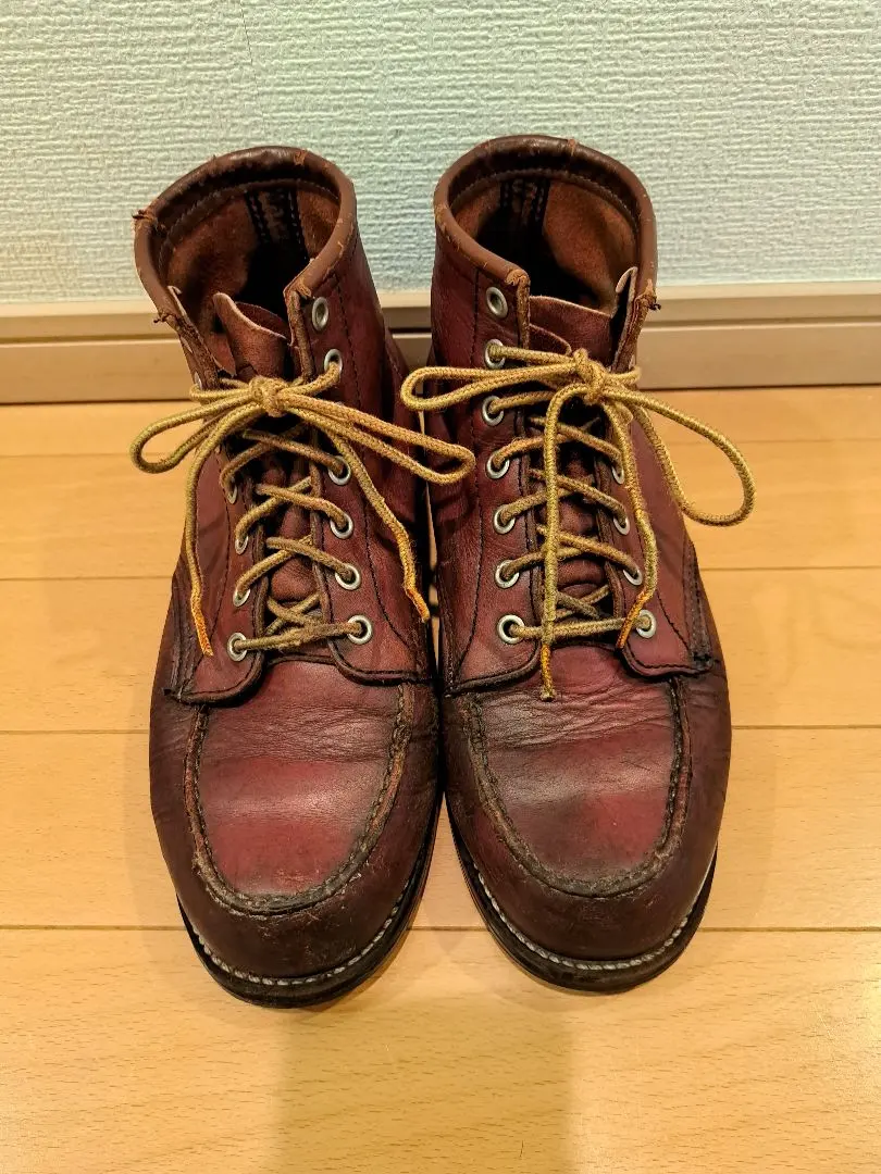 Thumbnail of Red Wing 8875 Irish Setter Dog Tag. Red-brown. 7.5E. 25.5cm