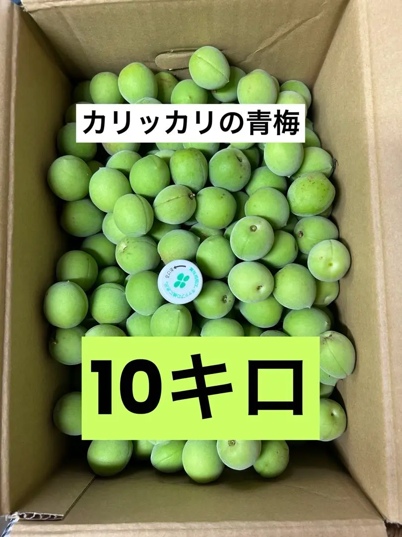 2025年最新】梅 無農薬 10キロの人気アイテム - メルカリ