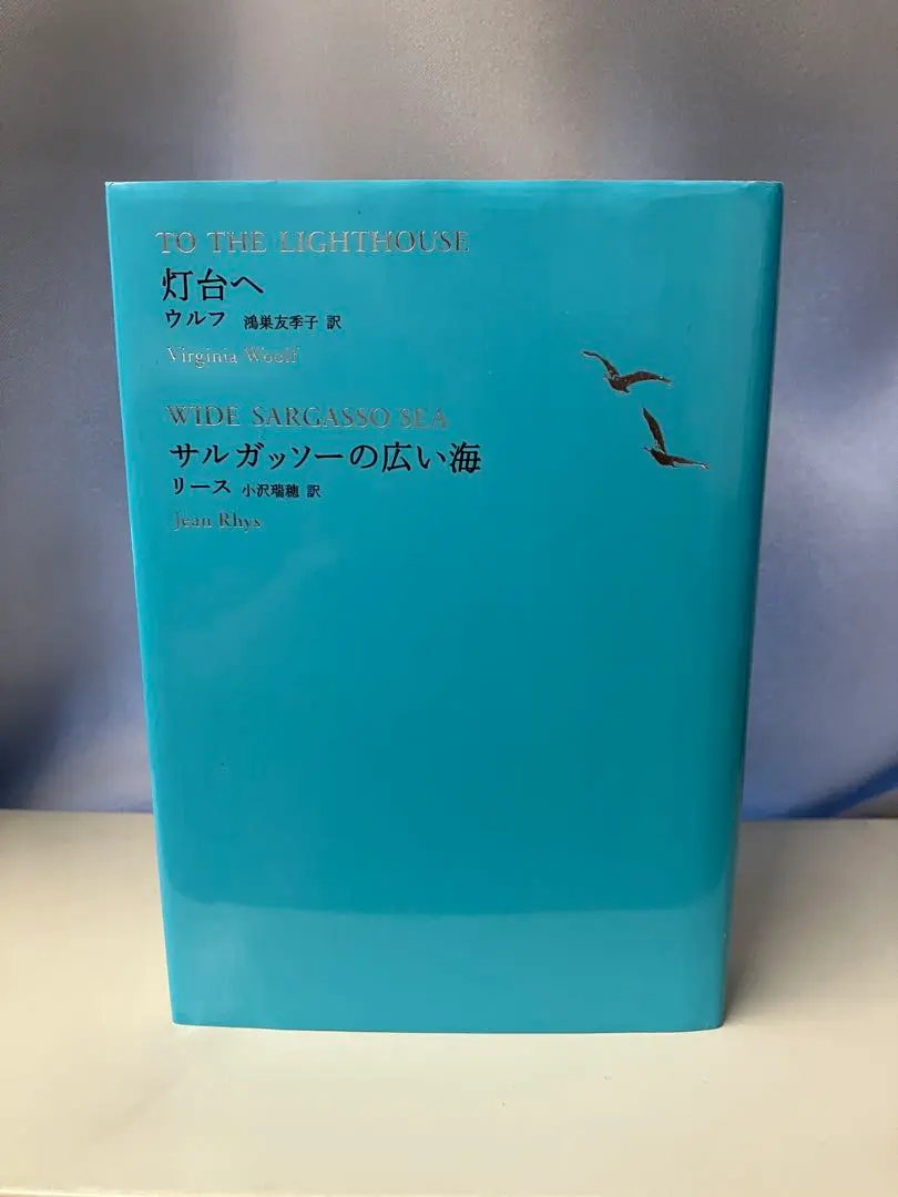 サルガッソーの広い海 (ジーン・リース・コレクション 1