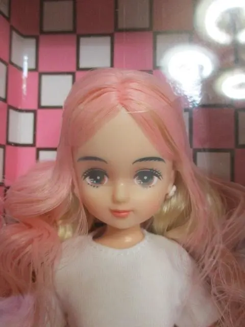2022年日本橋BASICモデルパレットＦリカちゃんキャッスル 製品入荷のお知らせ: リカちゃんキャッスルのちいさなおみせ