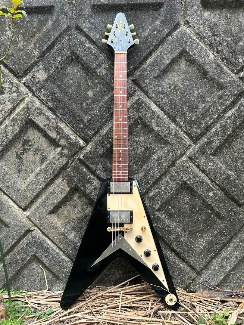 ニ*キ様 Brian by Bacchus Fretless Bass Brian By Bacchus - Bass Guitars - Basschat