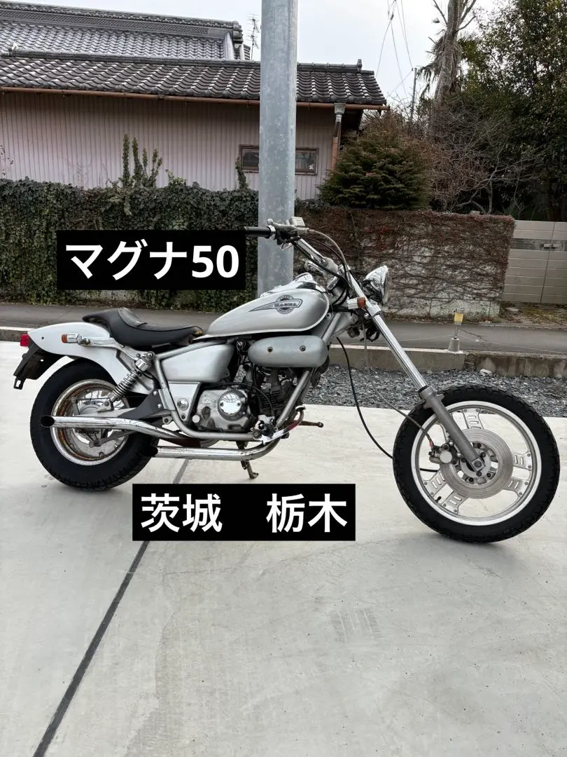 m54715089498_1.jpg?1739701035