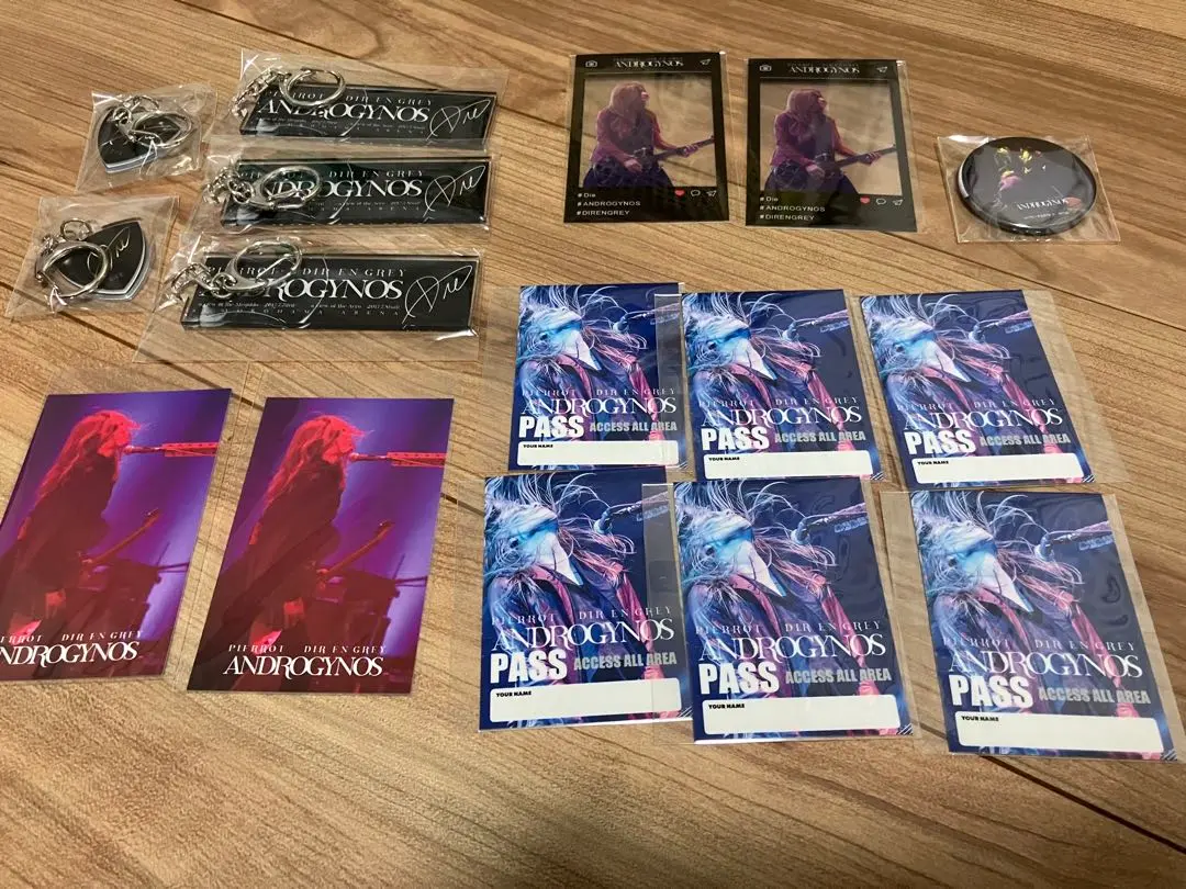 DIR EN GREY ラッフルくじ　アクスタセット DIR EN GREY ANDROGYNOS ラッフルくじ 集合アクスタ