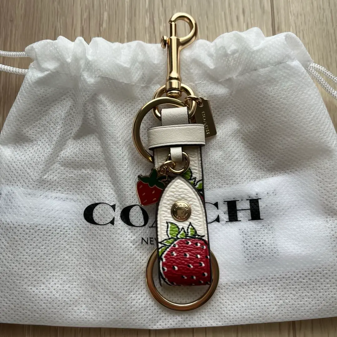 2025年最新】coach チャーム いちごの人気アイテム - メルカリ