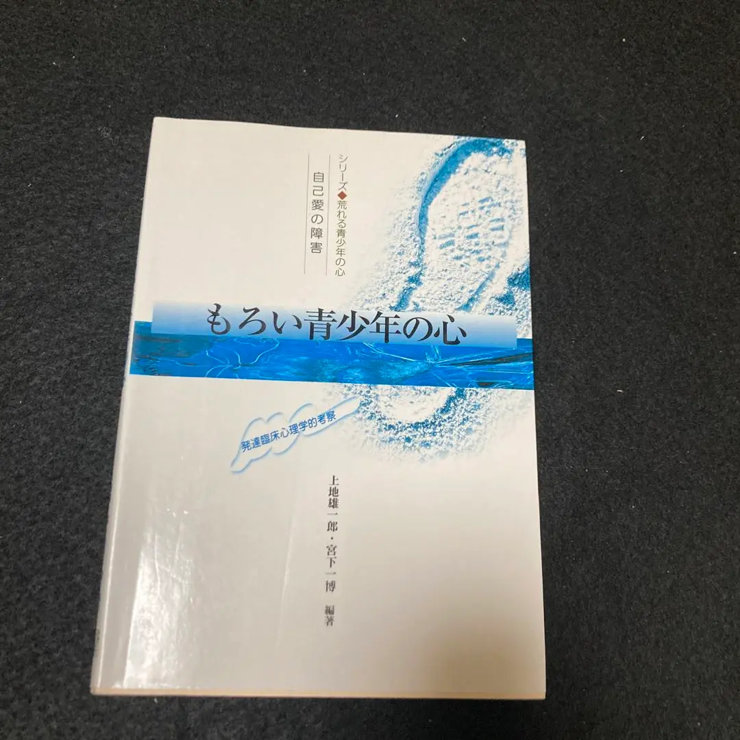 【メンタライジング・アプローチ入門 】　2020 年2刷　品切れ重版未定　未読 メンタライジング・アプローチ入門 】2020 年2刷品切れ重版未定未読