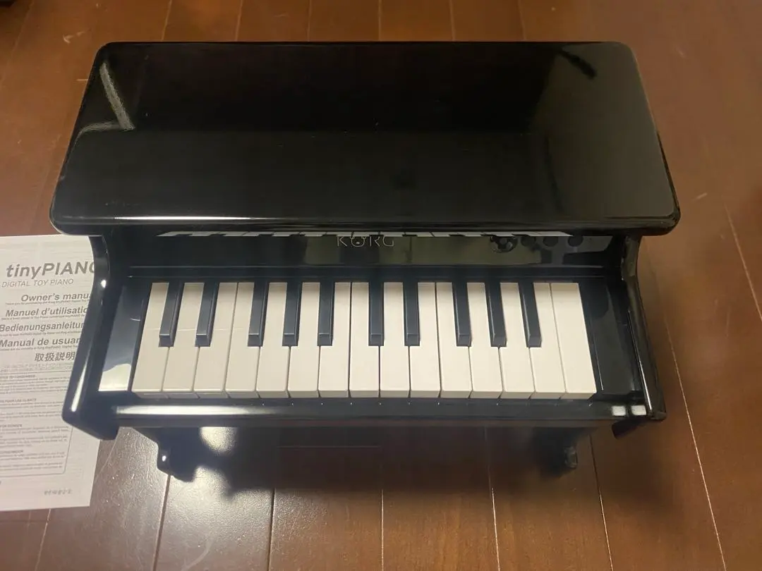 2025年最新】korg トイピアノの人気アイテム - メルカリ