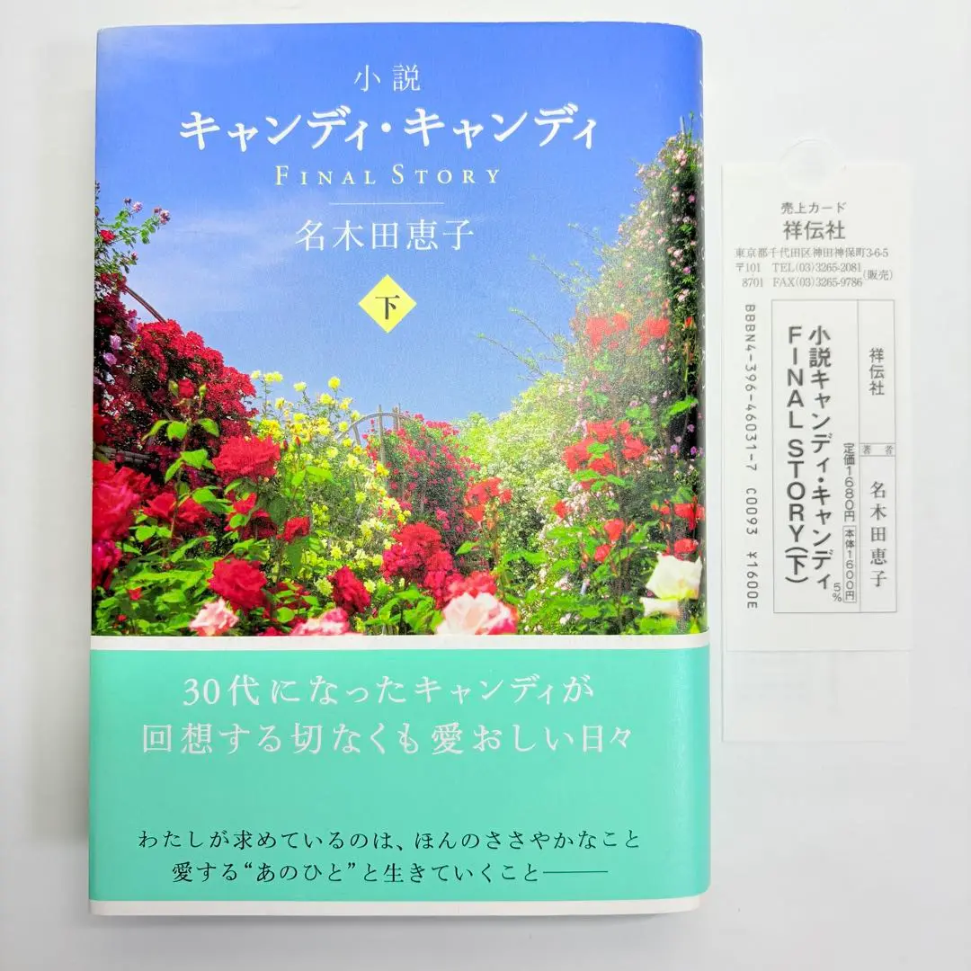 小説キャンディ・キャンディFINAL STORY 上下2冊セット Amazon.co.jp: 小説キャンディ・キャンディ FINAL STORY (上下2