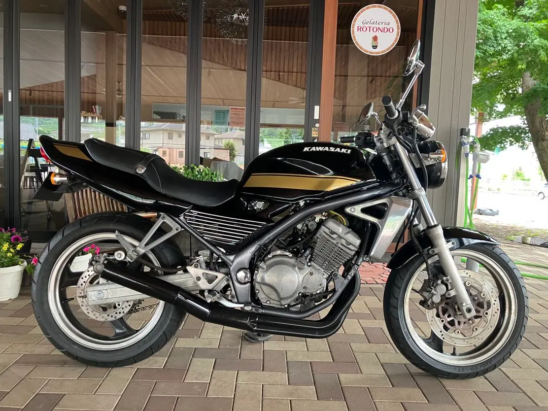 KAWASAKI バリオス1型 プリティー製 改(タイプ1) 4-2-1