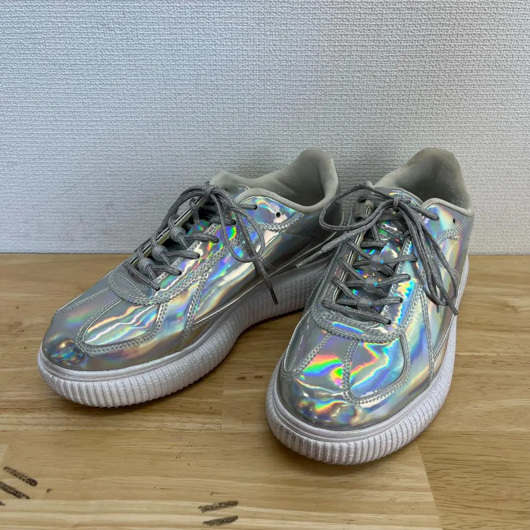 Onitsuka Tiger　DELECITY　25cm　厚底　シルバー 国内即発【オニツカタイガー】 DELECITY 厚底 シルバー