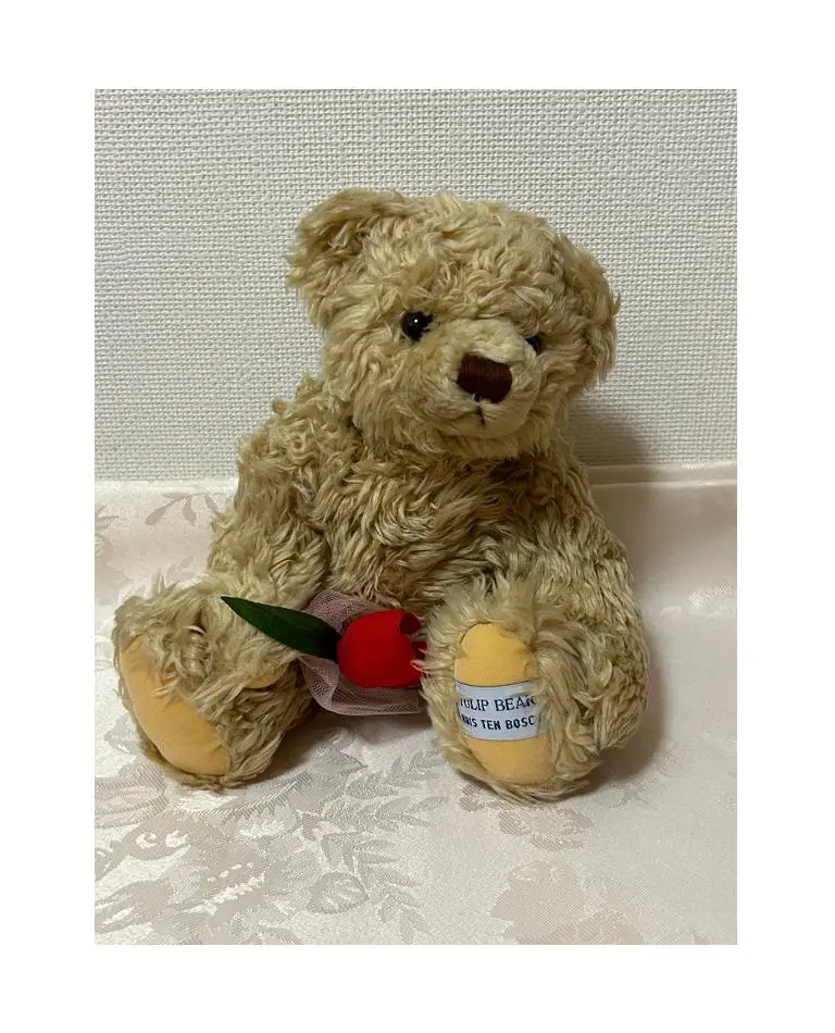 激レア 新品・タグ付き　チューリップベア ハウステンボス　くま　ぬいぐるみ 2025年最新】ハウステンボス チューリップベアの人気アイテム