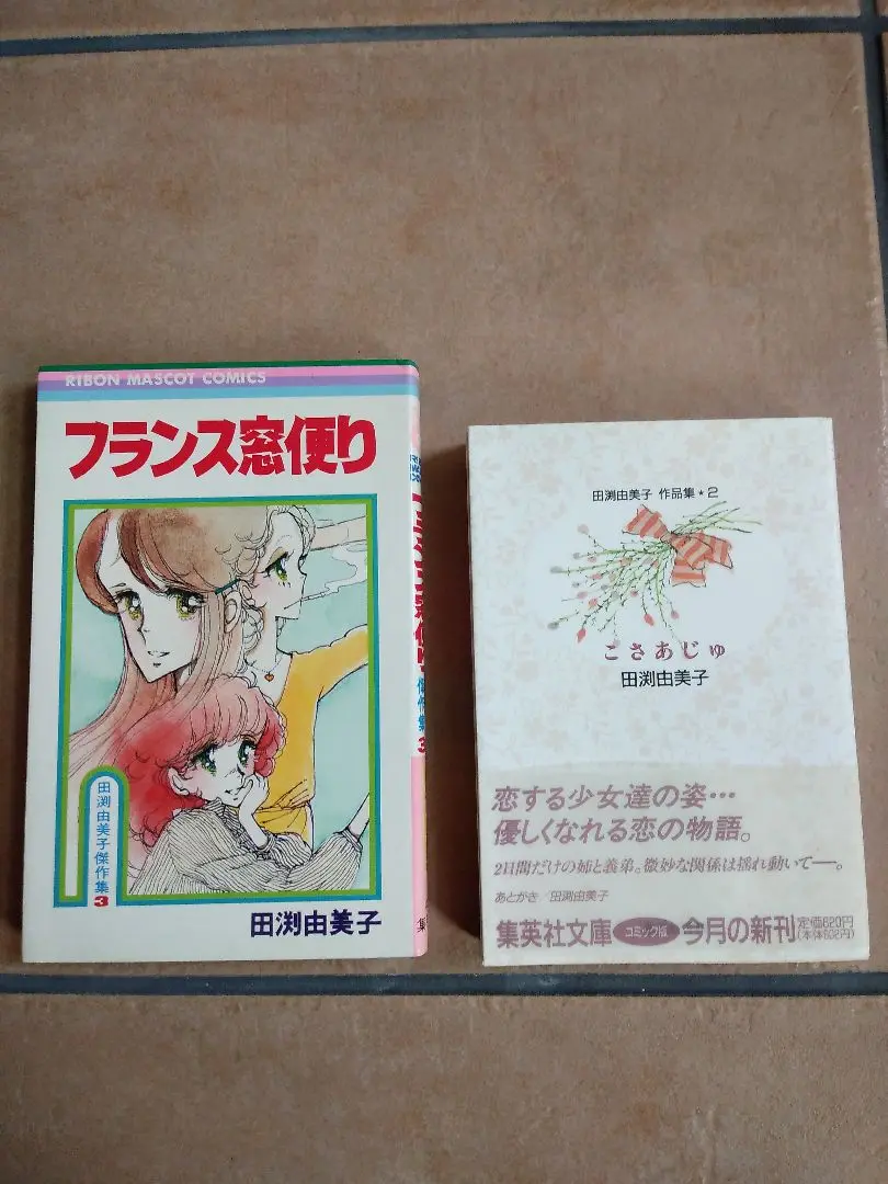 田渕由美子全作品集 I ヨドバシ.com - 田渕由美子全作品集 1（NANPUSHA COMICS
