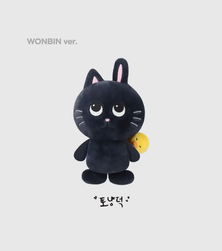 RIIZE RIIZING DAY リズコ40cm ドール ぬいぐるみ RIIZE RIIZING DAY FINALE OFFICIAL MD 40CM DOLL - Kpop USA